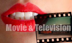 #TVData The Ultimate Guide to Stock Footage Research Services