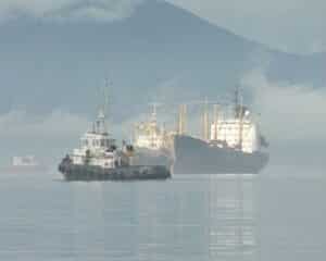 From Bears to Volcanoes: Petropavlovsk-Kamchatsky,