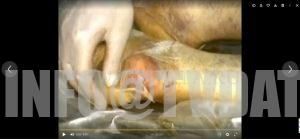 Global Nuclear Declassified Evidence Videos