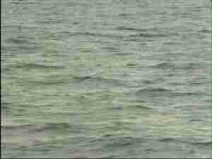Open sea surface, grey water, archival frame from Kursk submarine coverage.