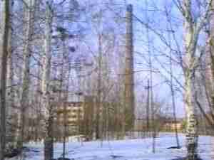 Birch trees in snow with a factory chimney behind, archival frame from Chernobyl nuclear accident coverage.