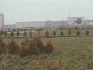 Overgrown field in front of abandoned apartment blocks, archival frame from Chernobyl nuclear accident coverage.