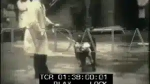 Clear archival film from a Soviet lab in the 1950s is uncommon; the best-known images were widely published and re-published (e.g., 1959 photo spreads), so they resurface every few years