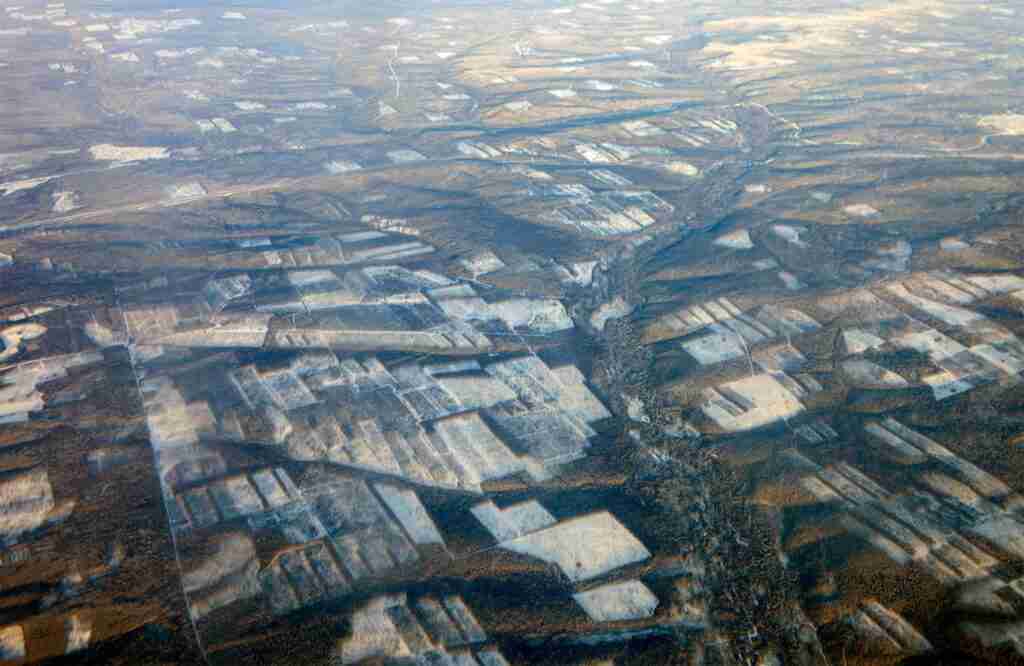 Global Forest Watch reports major tree-cover loss in Irkutsk Oblast. GFW says Irkutsk lost about 10 million hectares of tree cover from 2001 to 2024, equal to about 17% of its 2000 tree-cover area.