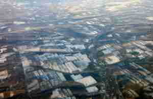 Global Forest Watch reports major tree-cover loss in Irkutsk Oblast. GFW says Irkutsk lost about 10 million hectares of tree cover from 2001 to 2024, equal to about 17% of its 2000 tree-cover area.