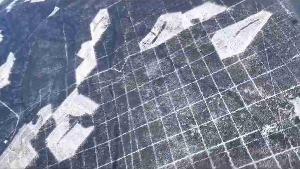 The video captures visible forest clearing, logging-road patterns, snow-covered clear-cut blocks and fragmented forest geometry.